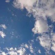 もこもこさんの画像