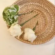 Aina＊【プロフィールお読み下さい♪】の画像