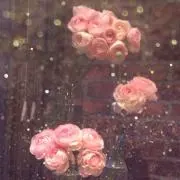 mi♡の画像
