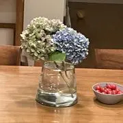 beau34の画像