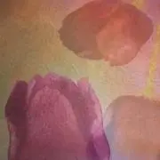 修理屋の画像
