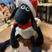 限界大学生の画像