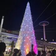 ちゃきの画像