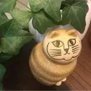 なっちの画像