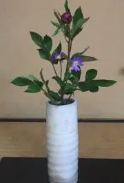 がんちん