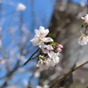 michi＿michiの画像
