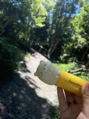 輝希 照