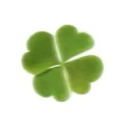 Cloverの画像