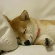 Kanaco★の画像