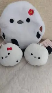 puniの画像