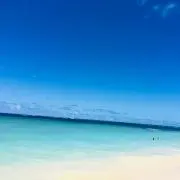 デデデの画像