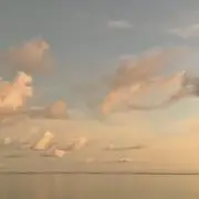 amの画像