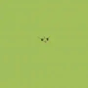 あるたーの画像