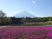 knakajimaの画像