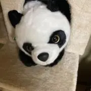 パイナパン