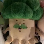 ( ¨̮ )