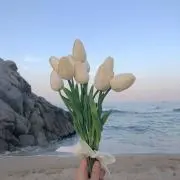 suuの画像