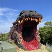 やんからんの画像