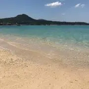 RDS【プロフ必読を】の画像