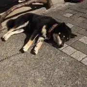 野球バカ