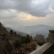 MSの画像