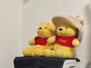のびおの画像