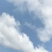 moimoi