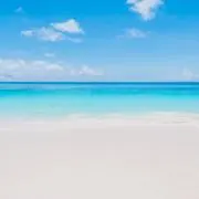 TNの画像