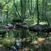 ACE 2012 錦織圭 AUTO PURPLE テニスカード - メルカリ