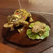くまおやじの画像
