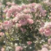 ‪‪❤︎‬の画像