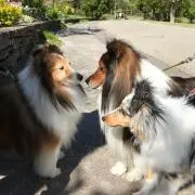 かん  匿名配送 断捨離中!!の画像