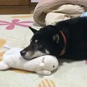 ばたやん
