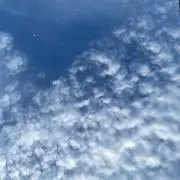幹ちゃんの画像