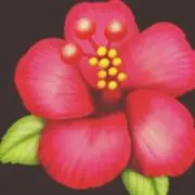 ミニオンの画像
