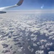 SORAの画像