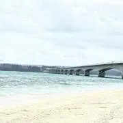 siの画像
