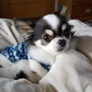 くぅ