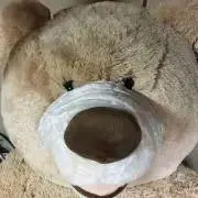 チャーリーの画像