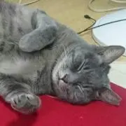 真実