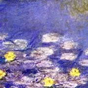 とろろごはん**の画像
