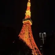 Yyyyyrraの画像