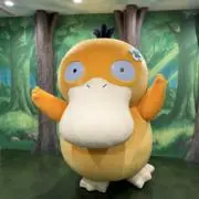 サーモンピンクの画像