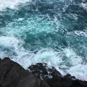 yoの画像