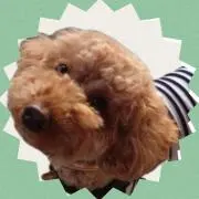 Ikumi