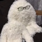 あみ