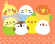 キイロイトリ