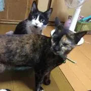 マキ♪２個あわせてお値下げ頑張りますの画像