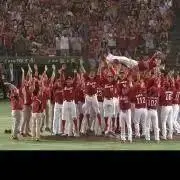 ほっかいろ7の画像