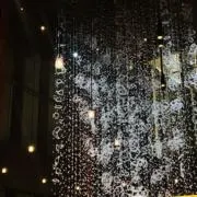セイカの画像